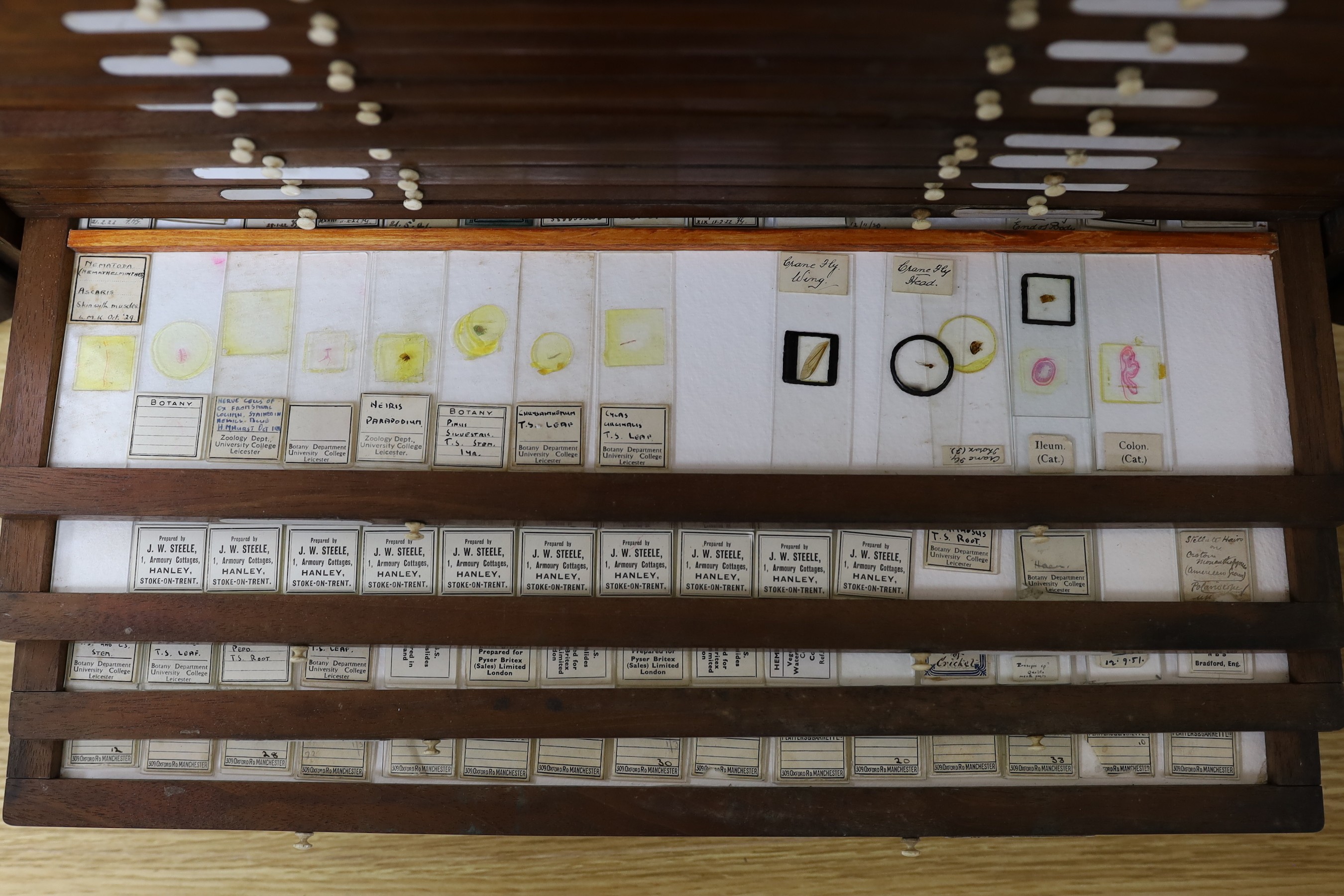 An Edwardian mahogany microscope slide collector's cabinet, eight trays containing insect, zoological histology and botany slide specimens, 48 cm high, 51 cm wide, 36 cm deep
